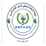 Logo of SNFLSE android Application 